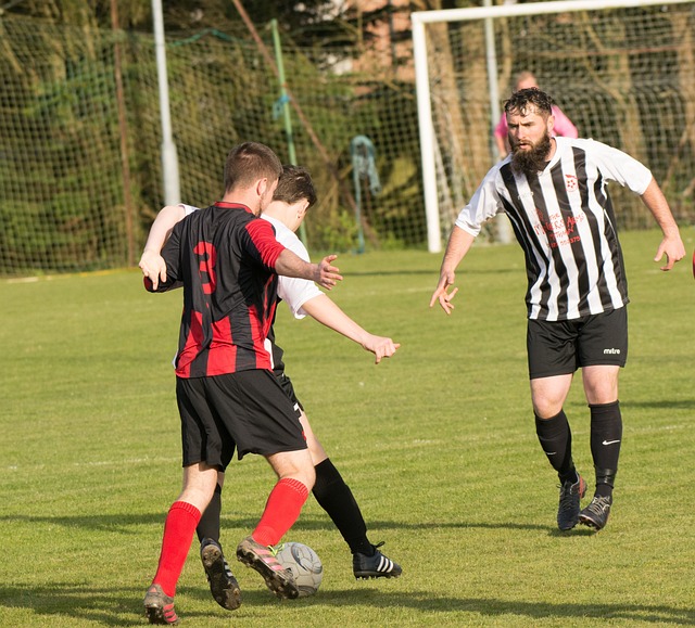 在未来几年
